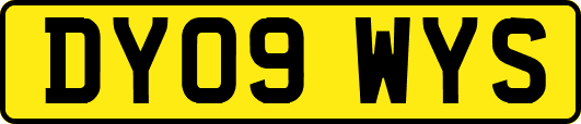 DY09WYS