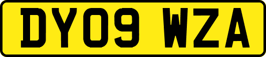 DY09WZA