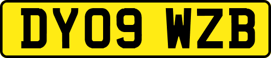 DY09WZB