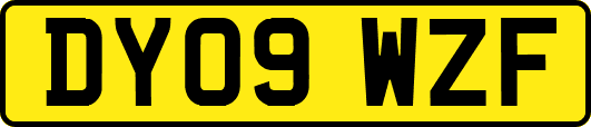 DY09WZF