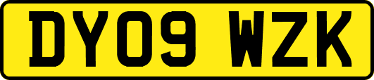 DY09WZK