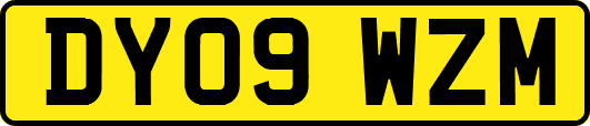 DY09WZM