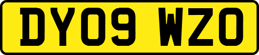 DY09WZO