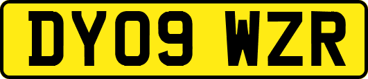 DY09WZR