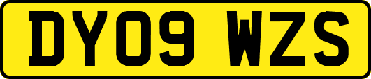 DY09WZS