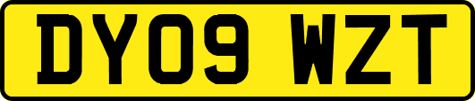 DY09WZT