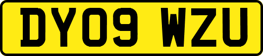 DY09WZU