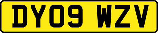 DY09WZV