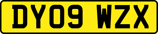 DY09WZX