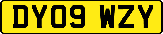 DY09WZY