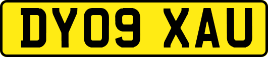 DY09XAU
