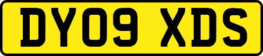 DY09XDS