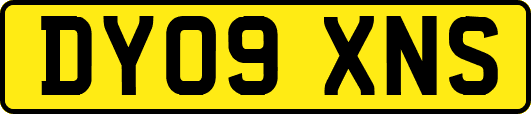DY09XNS