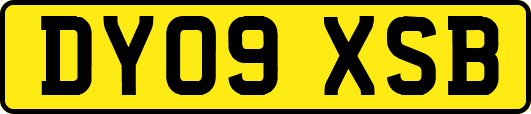 DY09XSB