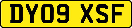 DY09XSF