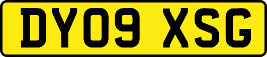 DY09XSG