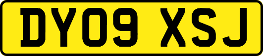 DY09XSJ