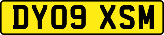DY09XSM