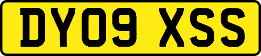 DY09XSS