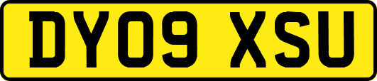 DY09XSU