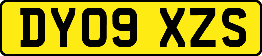 DY09XZS