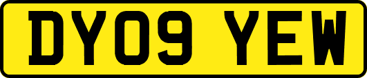 DY09YEW