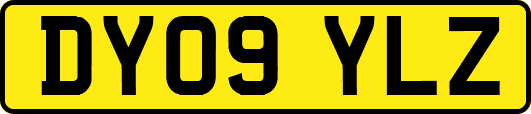 DY09YLZ