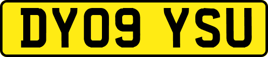 DY09YSU