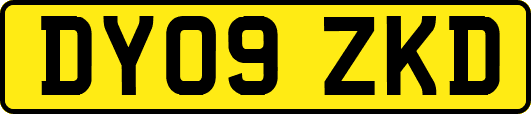DY09ZKD