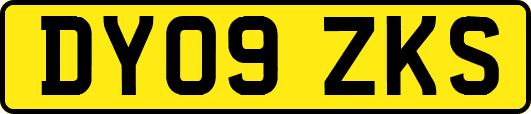 DY09ZKS