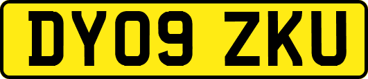DY09ZKU