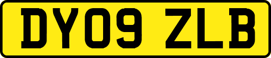 DY09ZLB