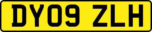 DY09ZLH