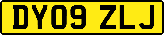 DY09ZLJ