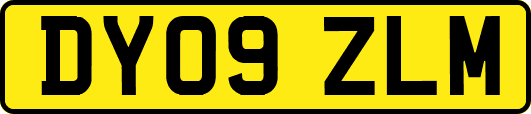 DY09ZLM