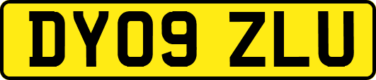 DY09ZLU