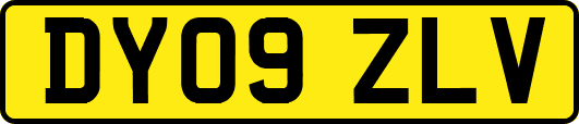 DY09ZLV