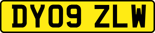 DY09ZLW