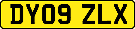 DY09ZLX