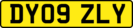 DY09ZLY