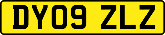 DY09ZLZ