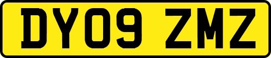DY09ZMZ