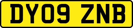 DY09ZNB