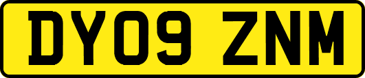 DY09ZNM
