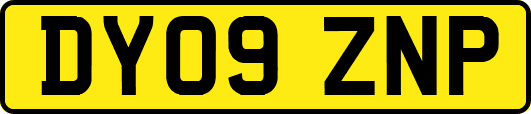 DY09ZNP