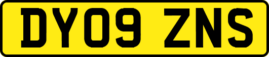 DY09ZNS