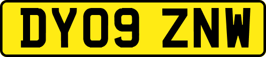 DY09ZNW