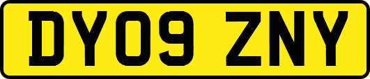 DY09ZNY