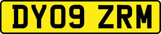 DY09ZRM