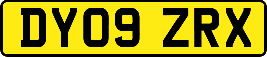 DY09ZRX